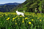 Anello Timogno- Benfit- Passo Omini da Valzurio il 4 maggio 2016